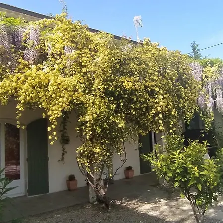 Villa Mas De St-Andiol à Cabannes Extérieur photo
