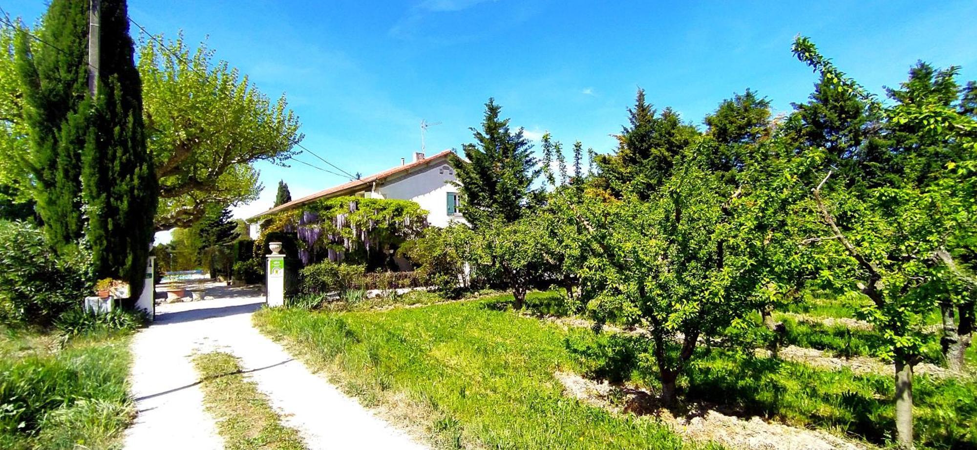 Mas De St-andiol